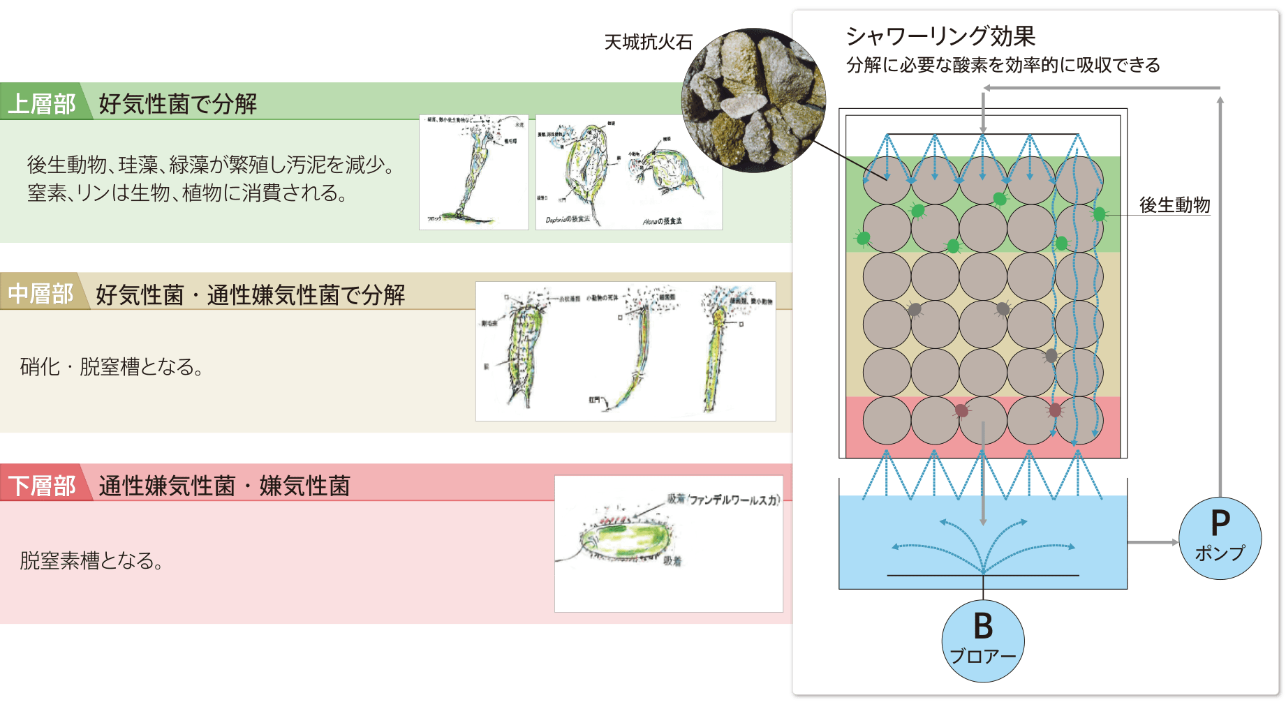 プラント内の水の流れ