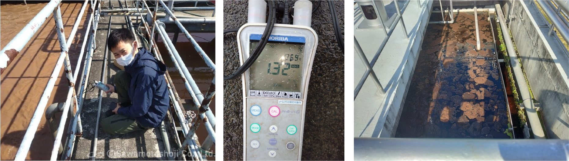 現地調査・水質検査