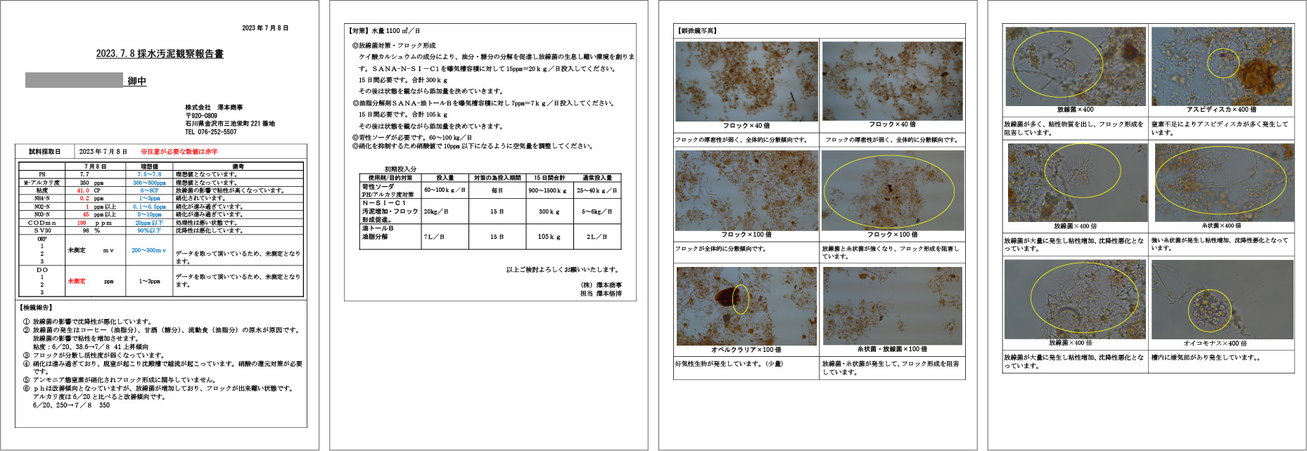 水質検査結果レポート