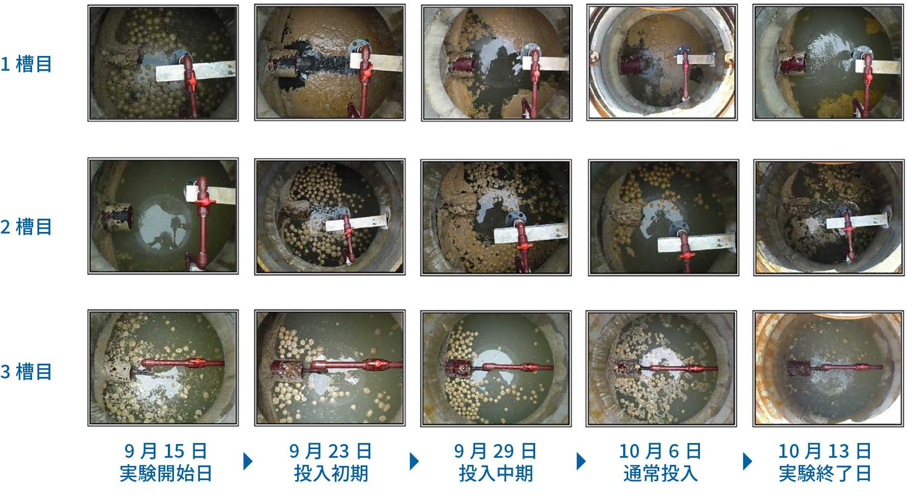 油脂処理槽内の変化と結果