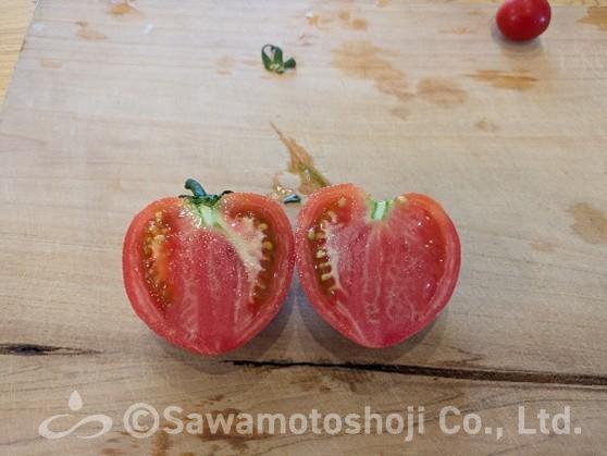 カットしたミニトマトの比較