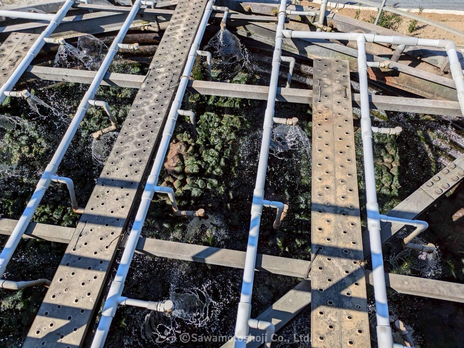 飲料工場の散水ろ床。ろ材に生物膜が繁殖している。