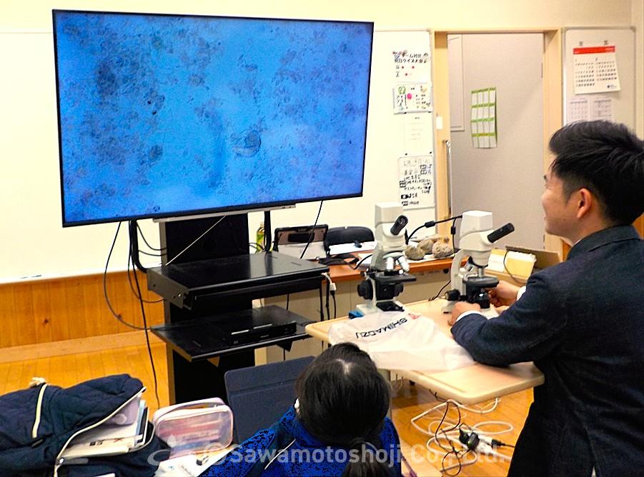 モニターに映る微生物