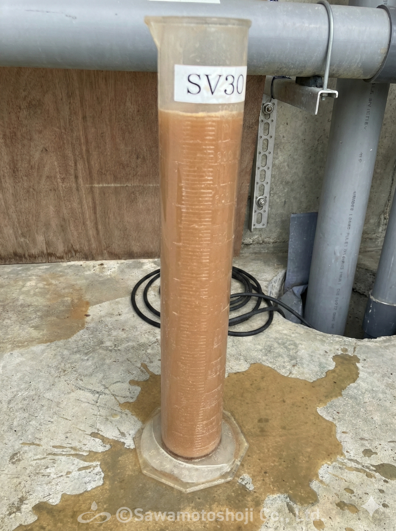 SV30が100%で全く沈降していない様子